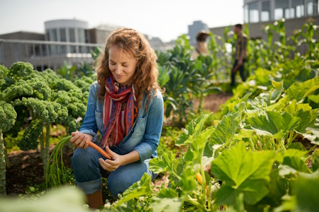 Urban Gardening