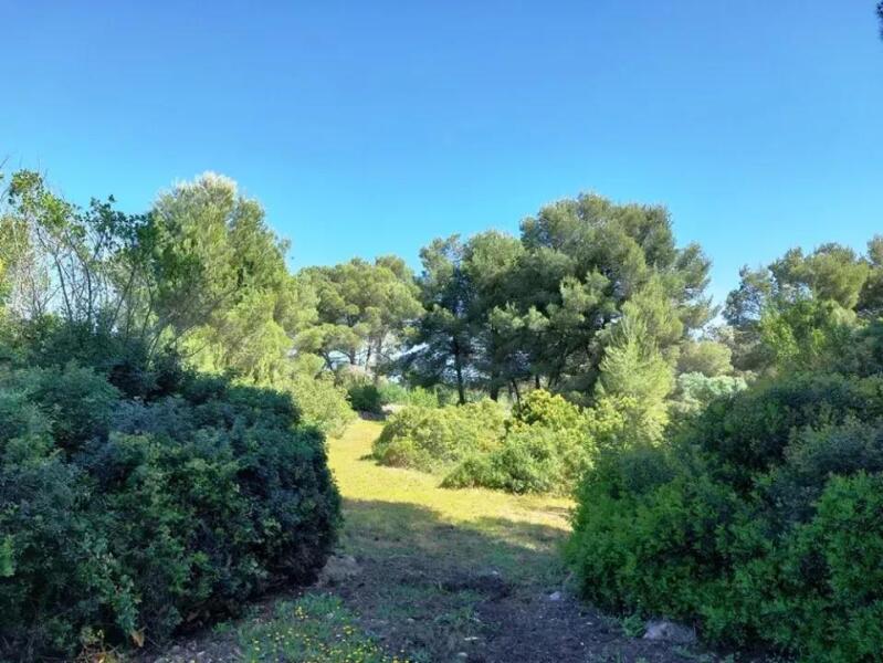 Denia traumhafte Villa - Finca - Garten