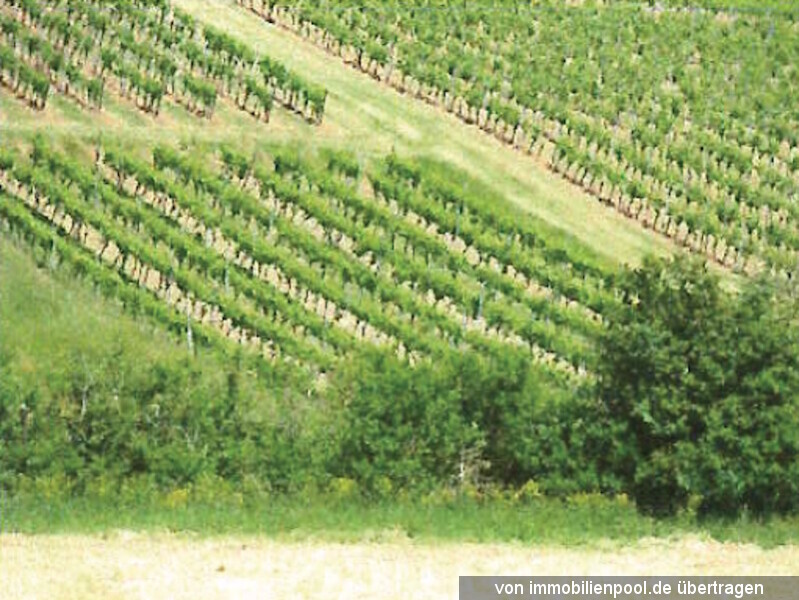 5 Landwirtschaftsflächen