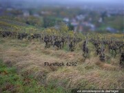 Zwangsversteigerung fünf Landwirtschaftsflächen