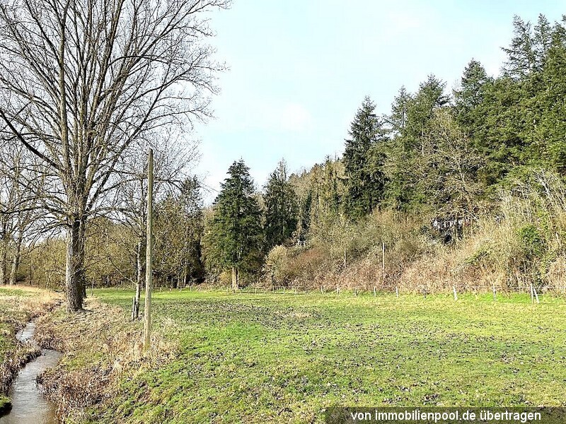 Waldgrundstück