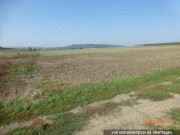 Landwirtschaftsfläche und Weingarten