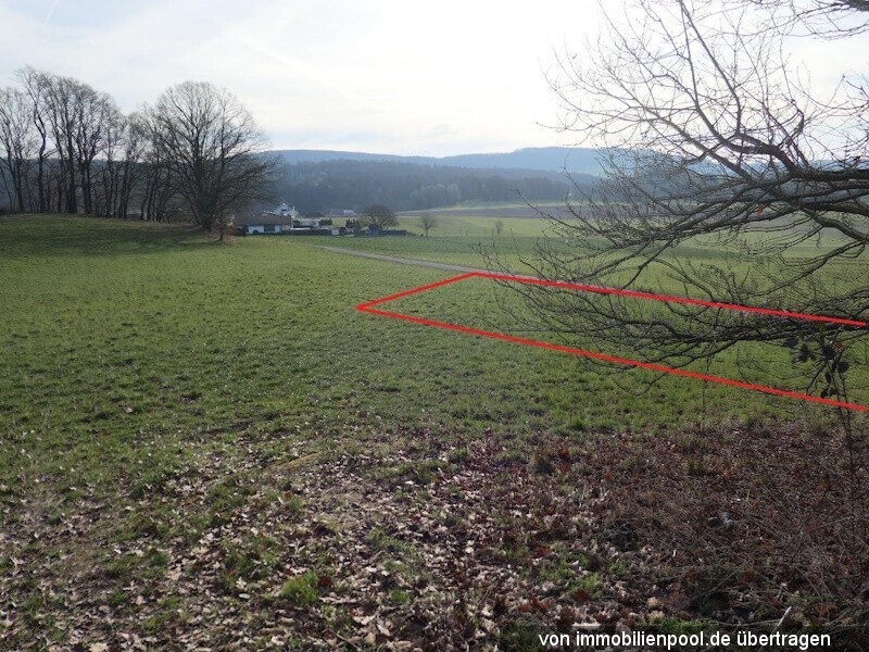 Land- und Forstwirtschaftsfläche