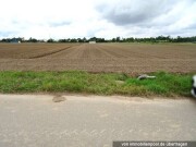 Landwirtschaftsfläche