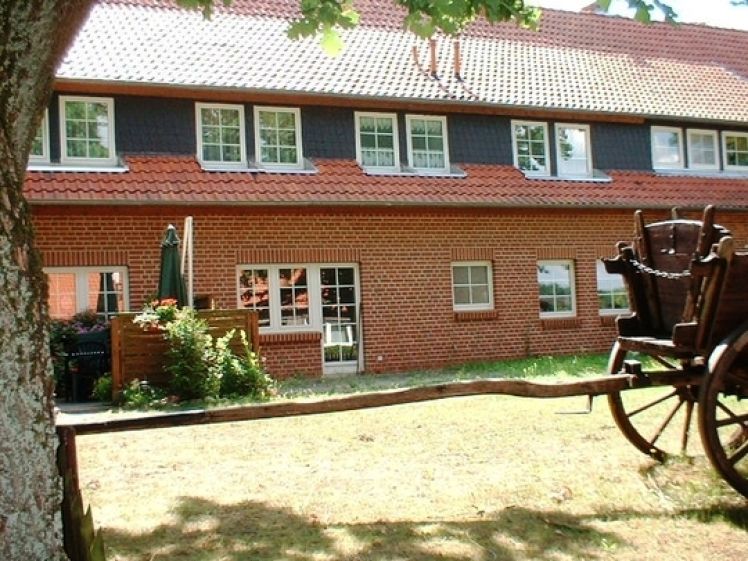 3 Zimmer Ergeschoßwohnung mit Terrasse