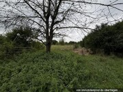 Landwirtschaftsfläche