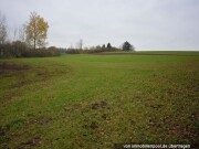 Landwirtschaftsfläche