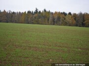 Landwirtschaftsfläche