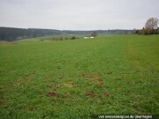 Landwirtschaftsflächen