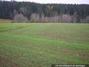 Landwirtschaftsflächen