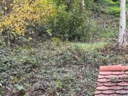 Am Rand des Pfälzer Waldes - Rheinebene vor sich - Auf den Spuren vo…