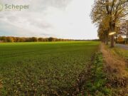 Das letzte seiner Art! 
Wohnen mit Weitblick in Albstedt