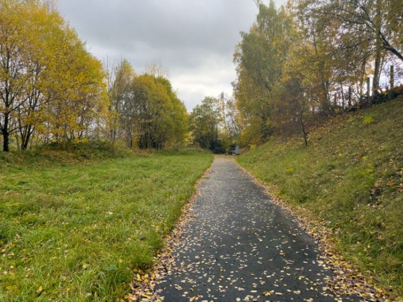 Großes Grundstück in gewachsener Lage – flexibel bebaubar und sofort…