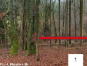 3 Waldgrundstücke