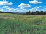 Landwirtschafts- und Waldfläche