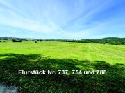 Landwirtschaftliche Grundstücke und Waldflächen