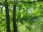 Leipzig: Wohnbaubaugrundstück in TOP-Lage