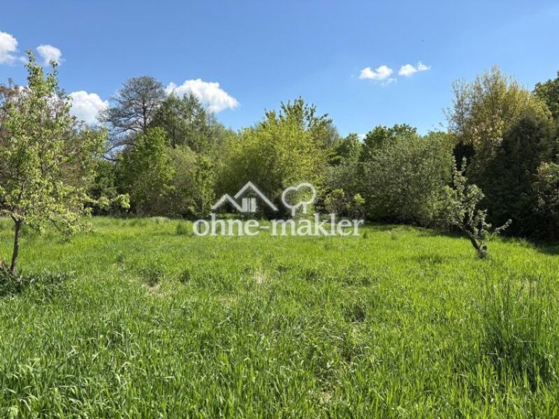 4.340 m² Naturgrundstück in Biesenthal m. Wasserlauf, Obstbäumen & E…