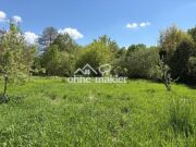 4.340 m² Naturgrundstück in Biesenthal m. Wasserlauf, Obstbäumen & Einzäunung – kein Baugrundstück