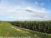 Unbebaute landwirtschaftliche Grundstücke