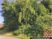 unbebautes Grundstück