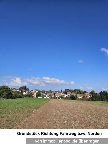 Grundstück_Richtung_Fahrweg (Norden)