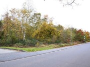 unbebautes Grundstück (Brachland/Holzung)