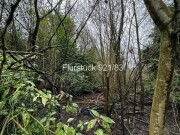 zwei Waldgrundstücke