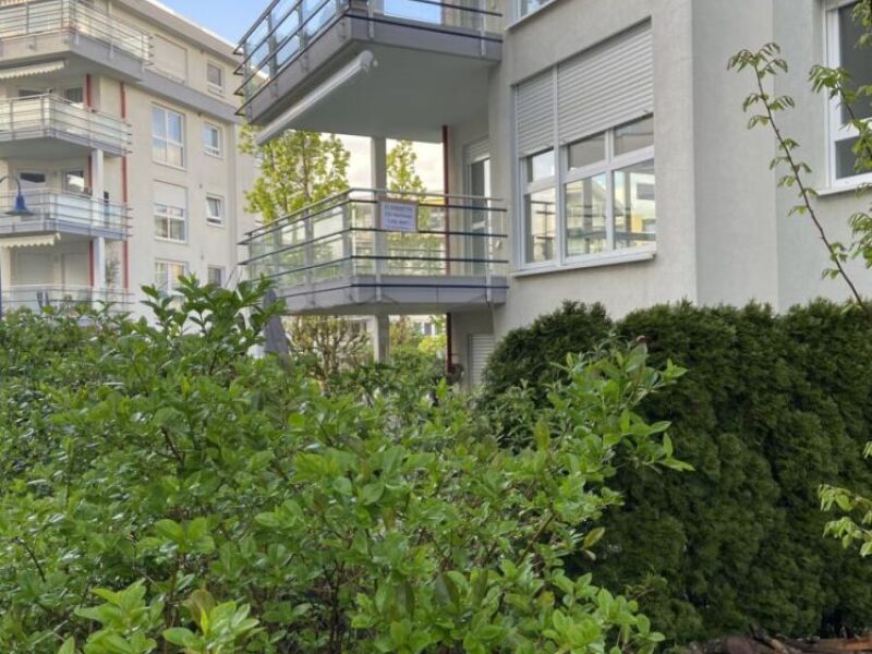 Helle frisch renovierte 3 Zimmer Wohnung in Wiesbaden- Klarenthal zu…
