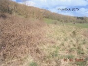 unbebaute Grundstücke (Grünland, landwirtschaftliche Fläche, Waldflä…