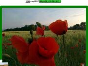 *** Landwirtschaftsflächen 4,0647 ha - pachtfrei ***
