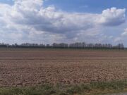 63,9 ha Acker- und Waldflächen in Trebitz und Brück