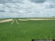 landwirtschaftliche Fläche (Ackerland)