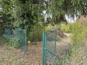 unbebautes rekultivierungsbedürftiges Gartengrundstück