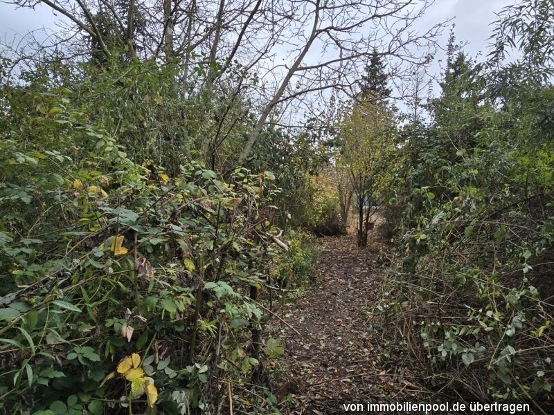 freigeschnittener Weg