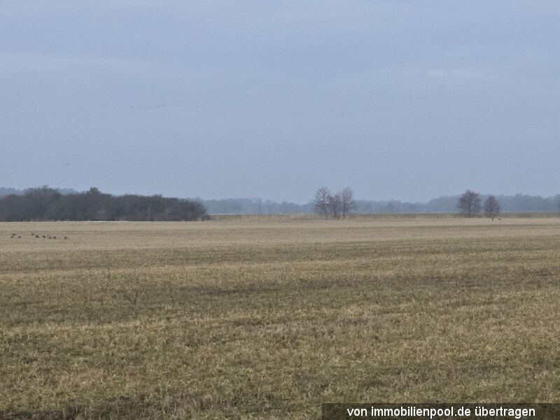 Blick über Flurstück 30 Blick von Südost