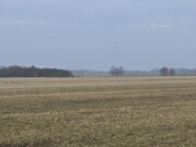 je 1/2 Anteil an zwei landwirtschaftlich genutzten Grünlandgrundstüc…