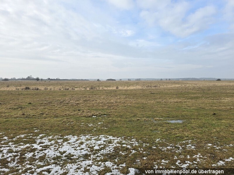 Flurstück 60-1 Blick von Ost nach West