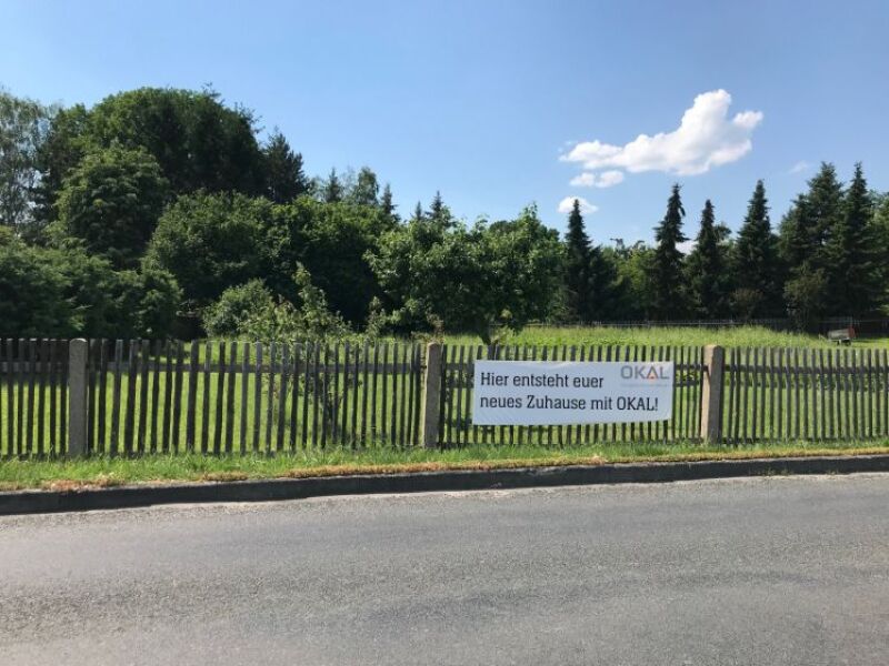 MORGENS EINE RUNDE IM AUENWALD JOGGEN ?