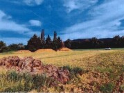 Landwirtschaftsfläche