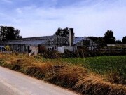 zwei Gewächshäuser mit landwirtschaftlicher Nutzfläche