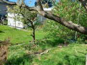 Ruhiges Wohnen im Grünen: Realisieren Sie hier ihr eigenes Zuhause i…