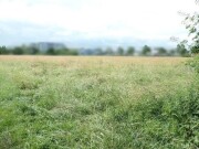 Landwirtschaftsfläche / sonstige Vegetationsfläche