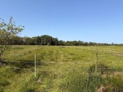 Landwirtschaftliche Fläche