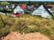 Bauplatz mit Einfriedungen/Stützmauern