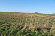 Landwirtschaftsfläche
