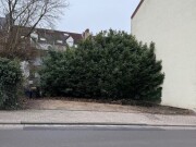 unbebautes Grundstück mit 5 Stellplätzen