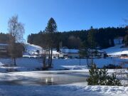 SEEBLICK, MÖBLIERT & FERIENTAUGLICH