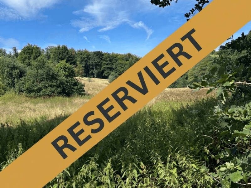 Ein Paradies für Pferdehalter - ca. 2 ha Wiese mit Bachlauf und Baum…