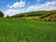 Ackerland, Grünland oder Wald zu verkaufen? Kostenlose Preiseinschät…